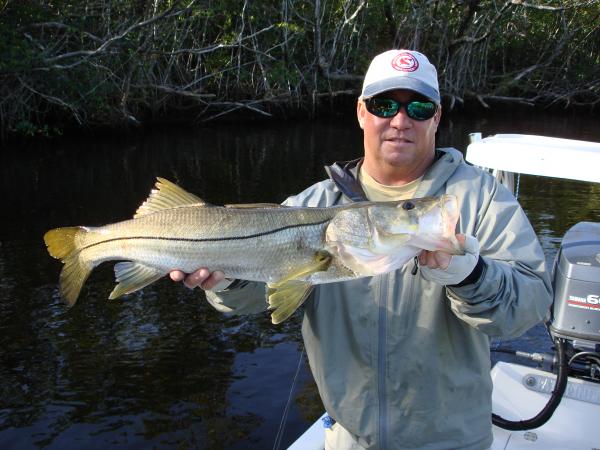 106 1174995858